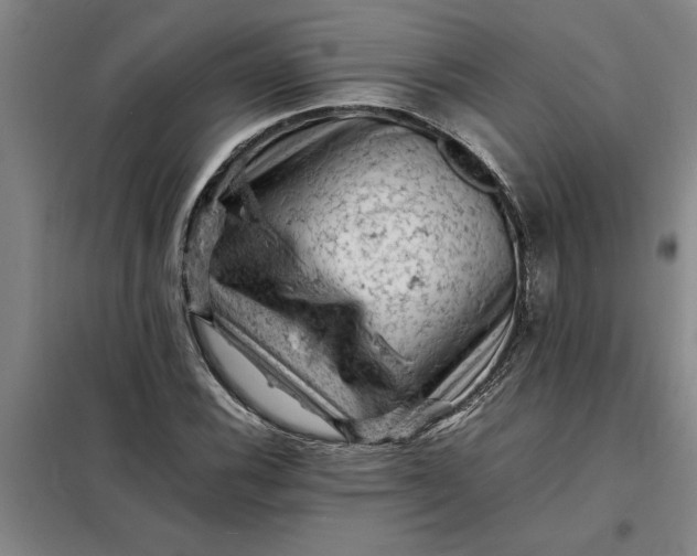 X0000098161116200805011424