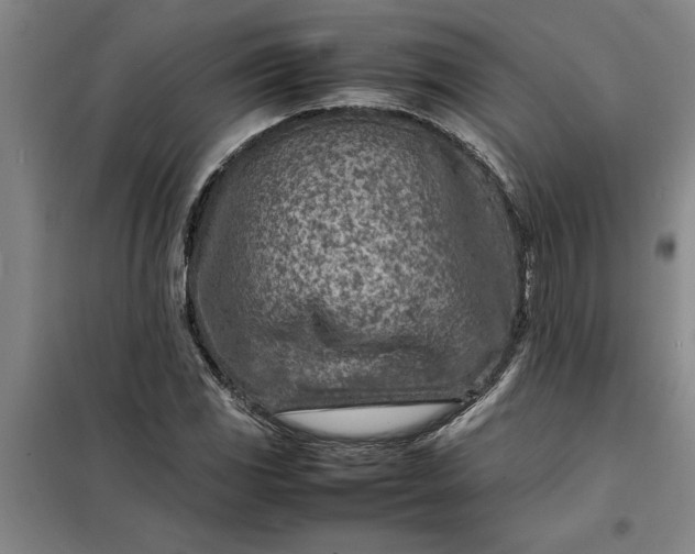 X0000098161117200805011424