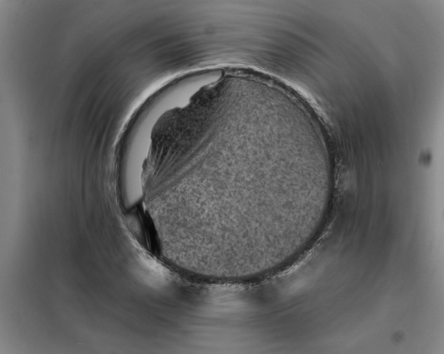 X0000098161118200805011424
