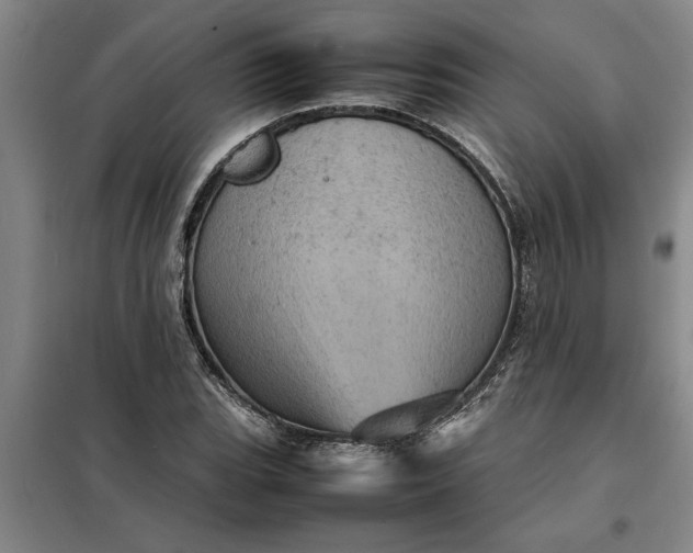X0000098161119200805011424