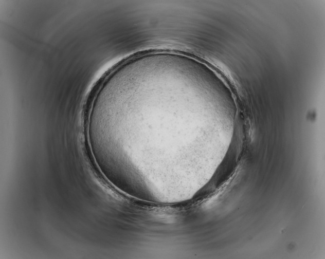 X0000098161120200805011424