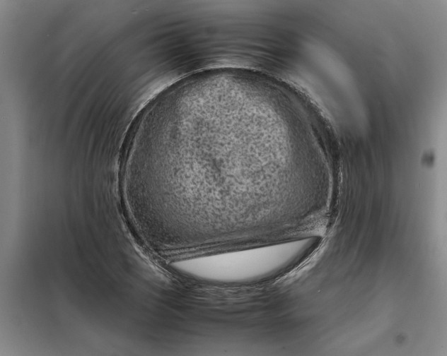 X0000098161121200805011424