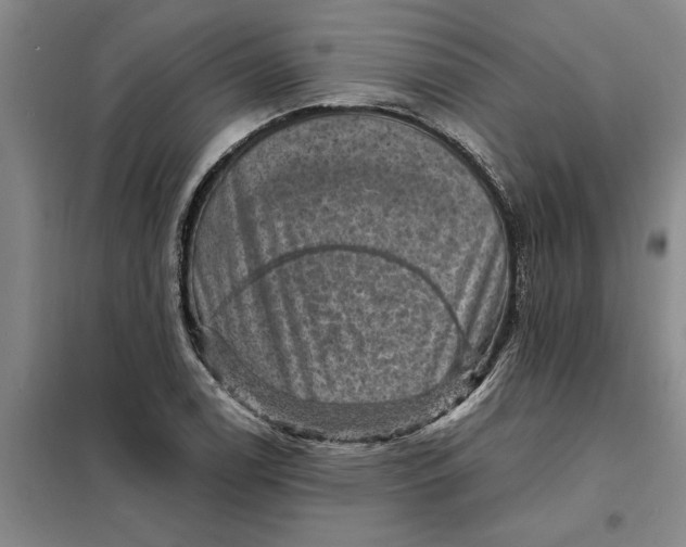 X0000098161122200805011424