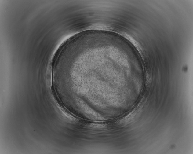 X0000098161123200805011424