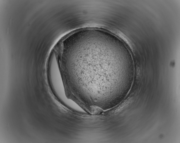 X0000098161124200805011424