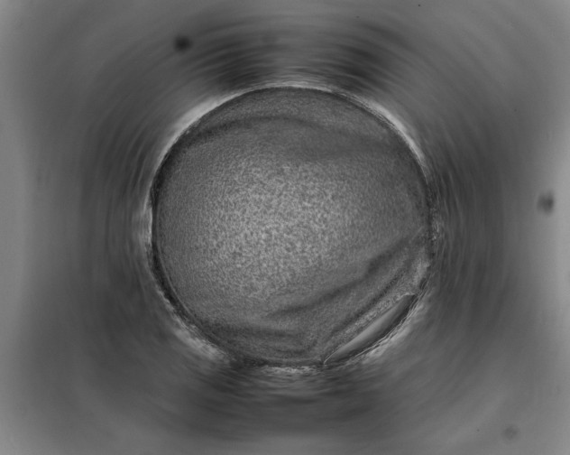 X0000098161125200805011424