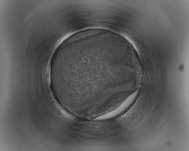 X0000098161127200805011424