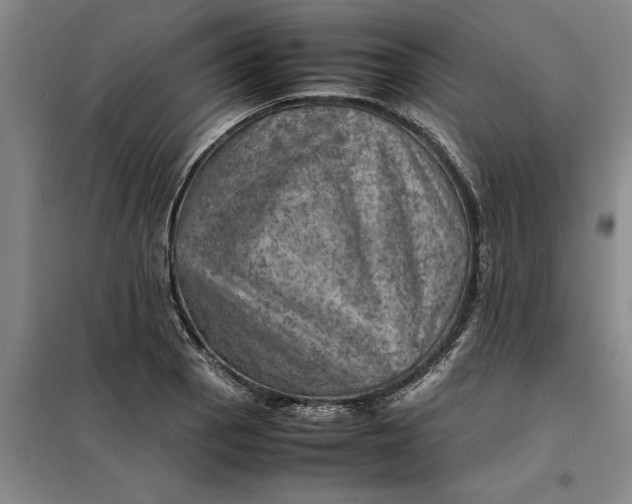 X0000098161129200805011424