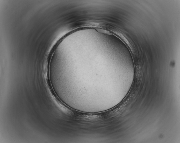 X0000098161131200805011424
