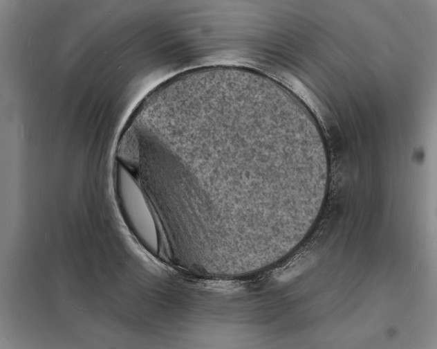 X0000098161132200805011425