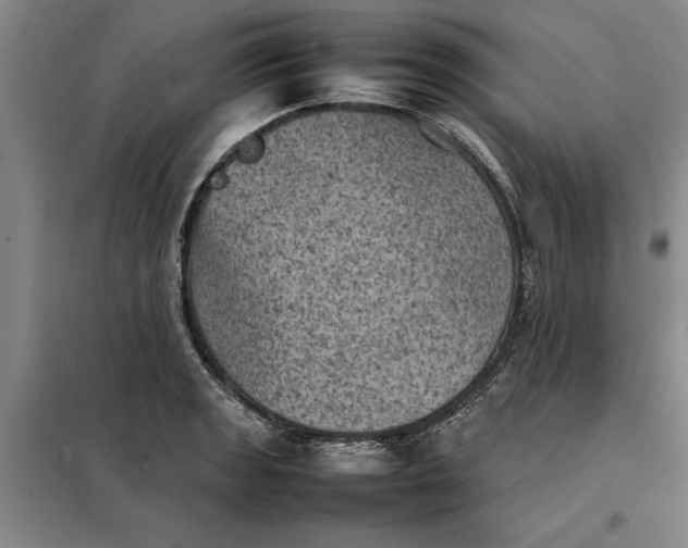 X0000098161133200805011425