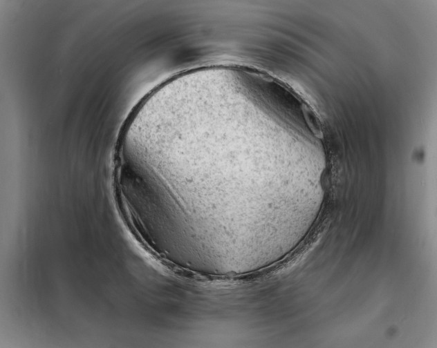 X0000098161134200805011425