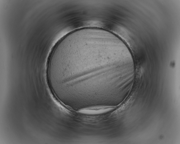 X0000098161135200805011425
