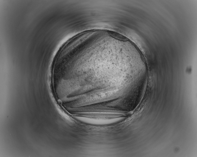 X0000098161136200805011425