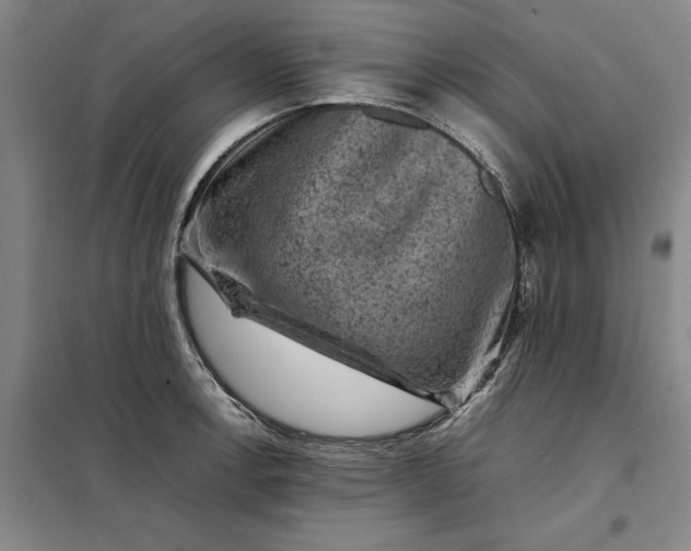 X0000098161138200805011425