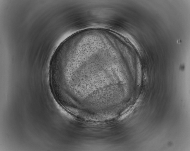 X0000098161143200805011425