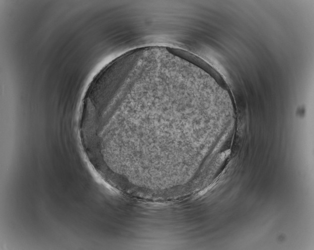 X0000098161144200805011425