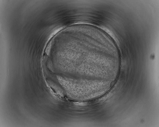 X0000098161145200805011425