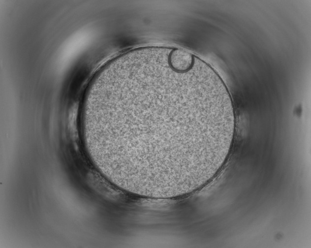 X0000098161150200805011425
