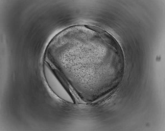X0000098161152200805011425