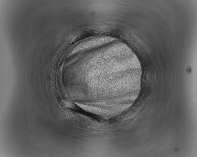 X0000098161153200805011424