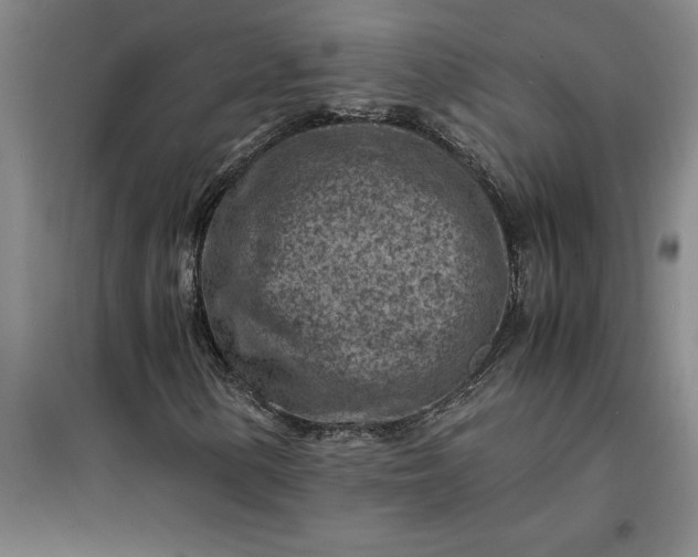 X0000098161154200805011424