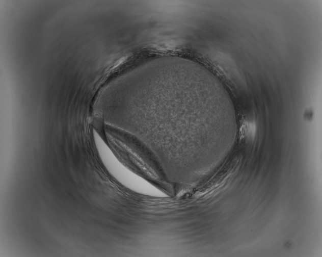 X0000098161156200805011424