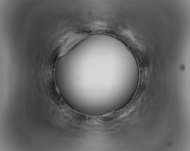 X0000098161157200805011424