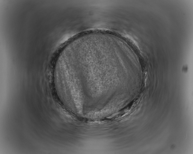 X0000098161159200805011424