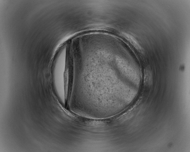X0000098161164200805011424