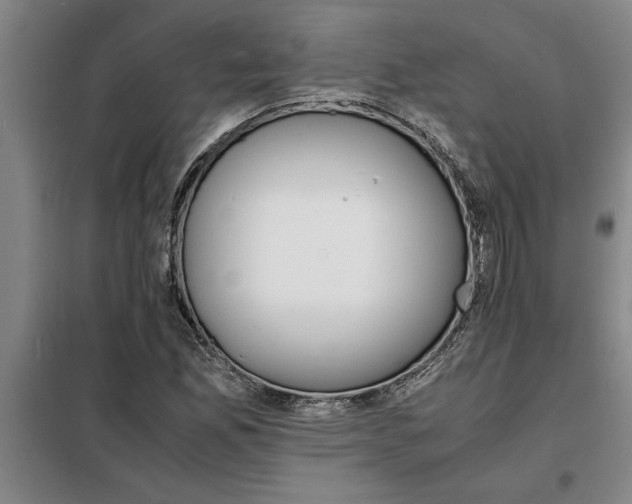 X0000098161165200805011424