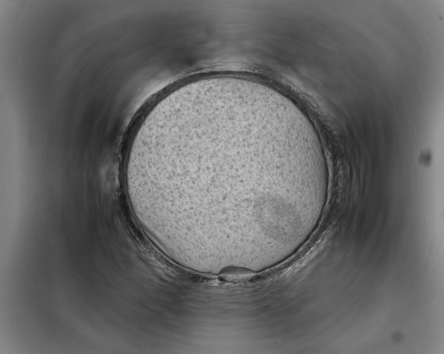 X0000098161166200805011424