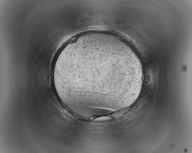 X0000098161168200805011424
