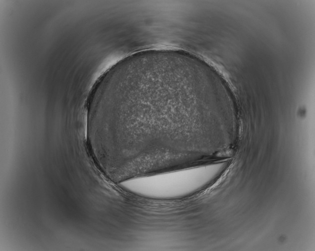 X0000098161171200805011424