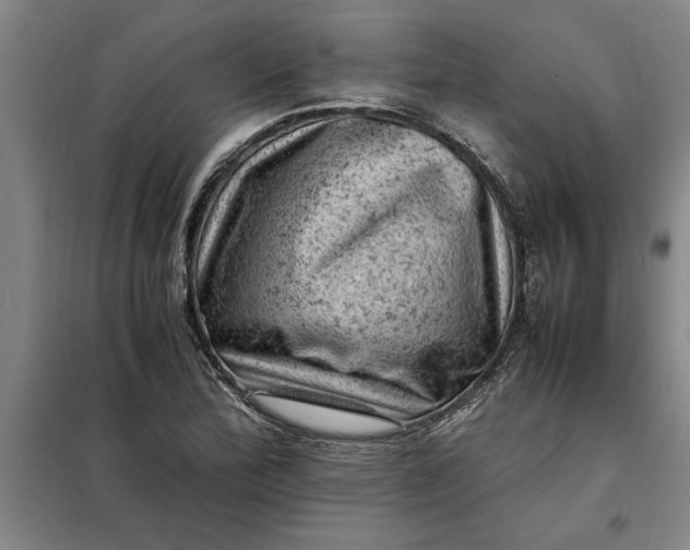 X0000098161172200805011424