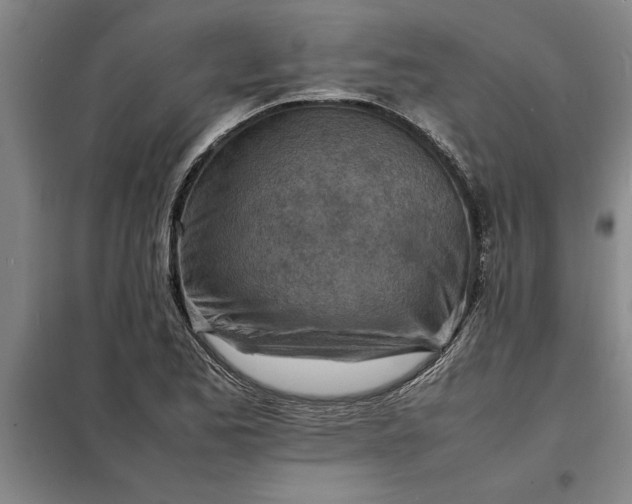 X0000098161173200805011424
