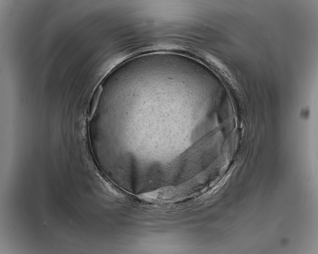 X0000098161177200805011423