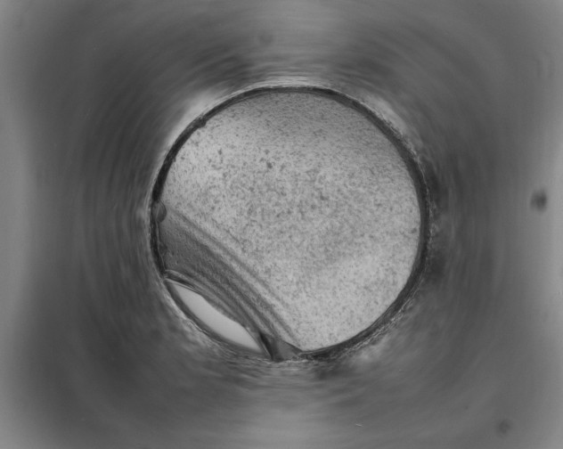 X0000098161181200805011423