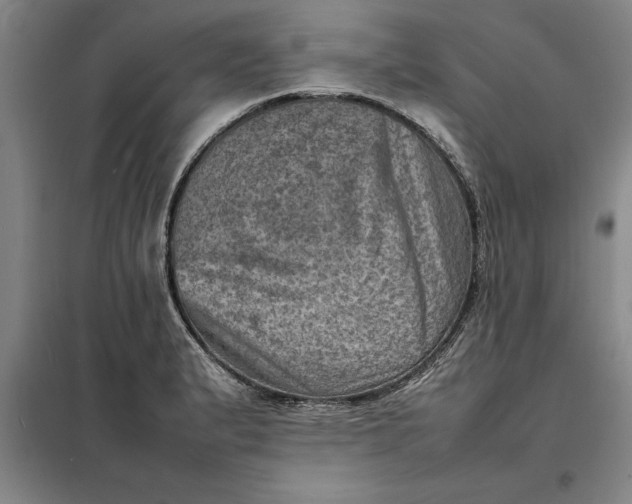 X0000098161183200805011423