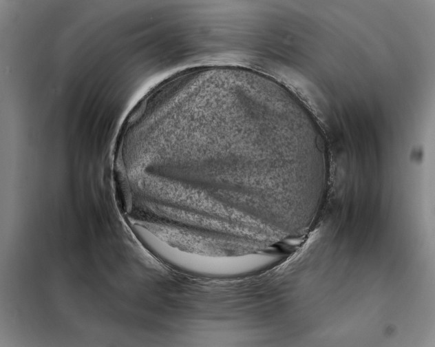 X0000098161184200805011423