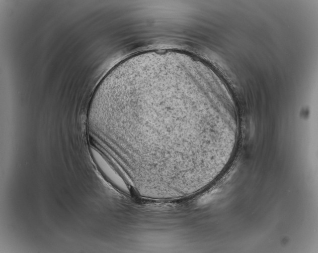 X0000098161185200805011423