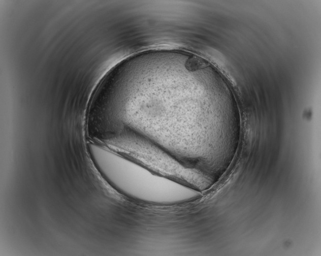 X0000098161186200805011423