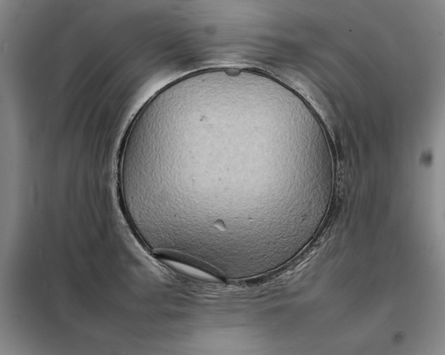 X0000098161187200805011423