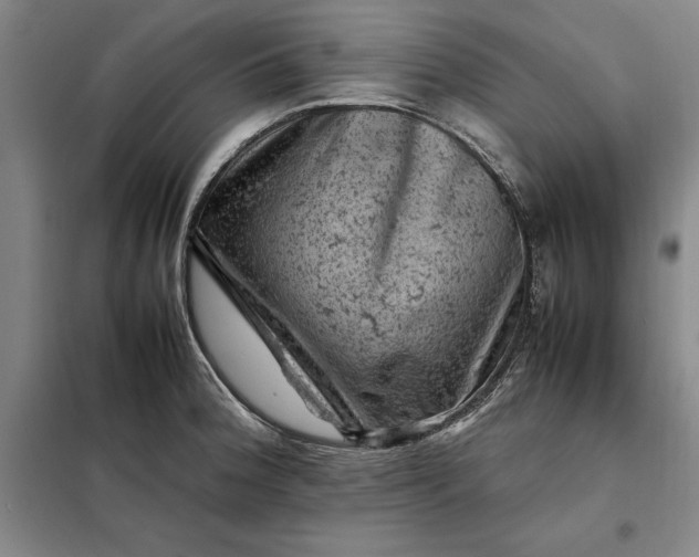 X0000098161188200805011423