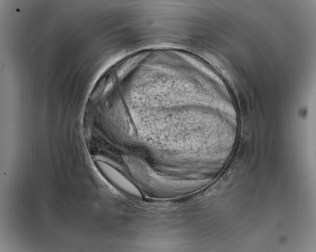 X0000098161189200805011423