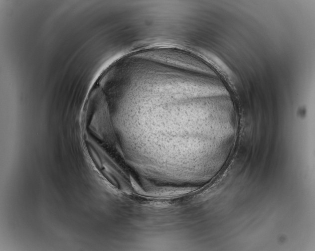 X0000098161190200805011423