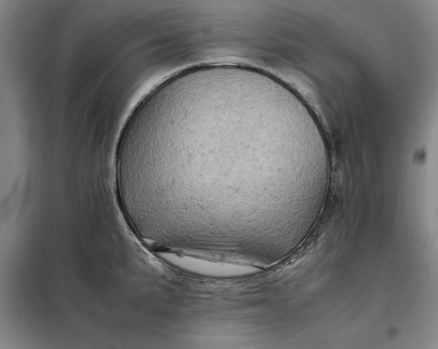X0000098161191200805011423