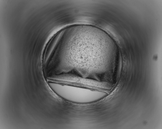 X0000098161192200805011423