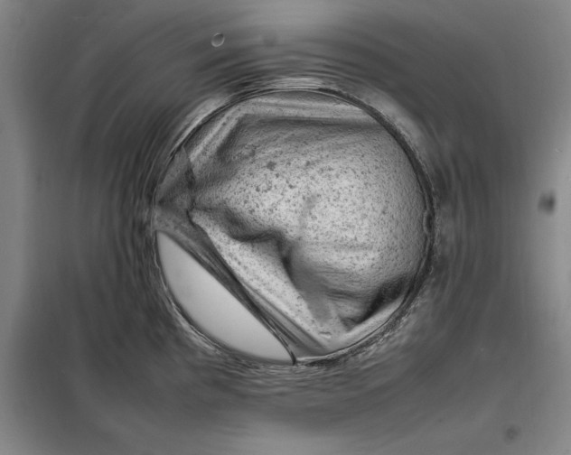 X0000098161193200805011423
