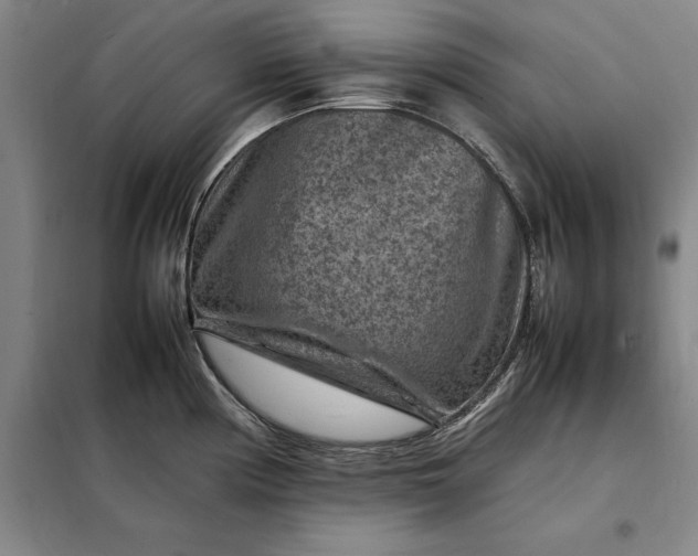 X0000098161194200805011423